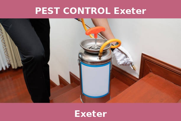 PEST CONTROL Exeter
